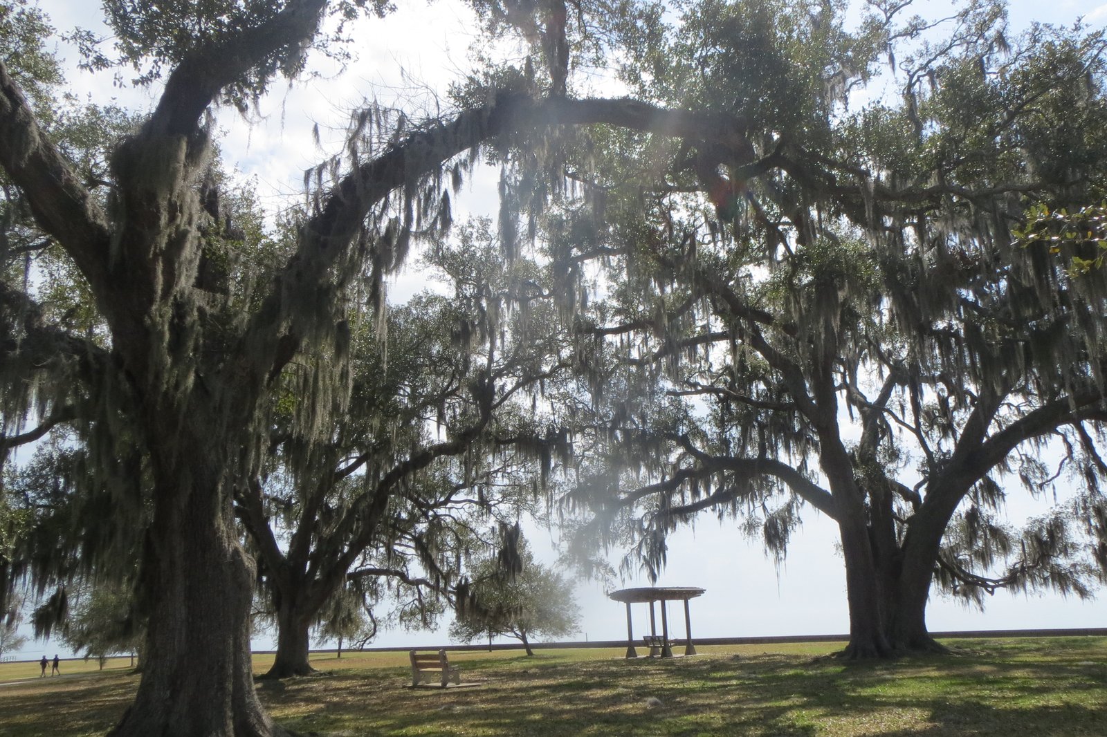 Mandeville, Louisiana